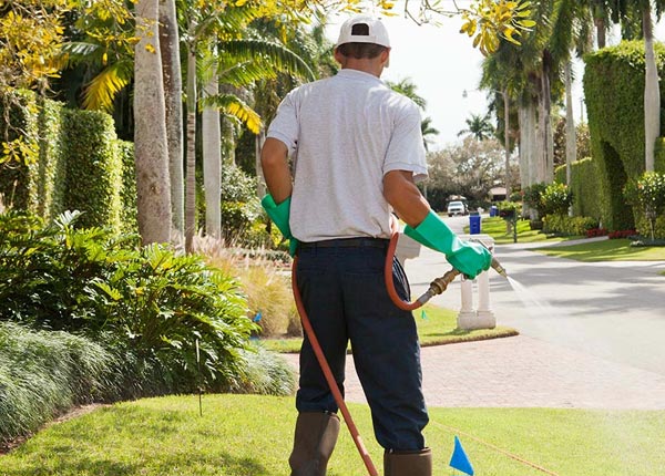 About Ashland LA Pest Control